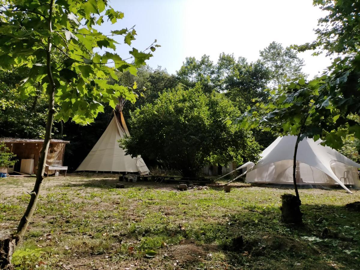 Albergue Del Oso Tierraluz Arbucies Exterior photo