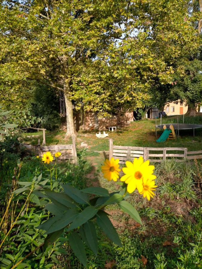 Albergue Del Oso Tierraluz Arbucies Exterior photo