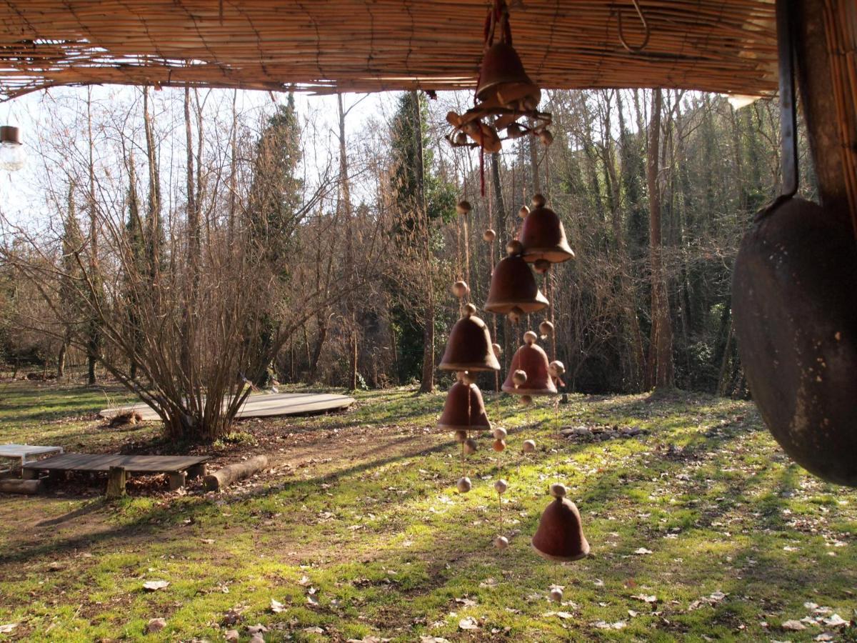 Albergue Del Oso Tierraluz Arbucies Exterior photo